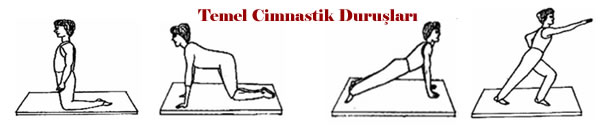 Temel Cimnastik Durular