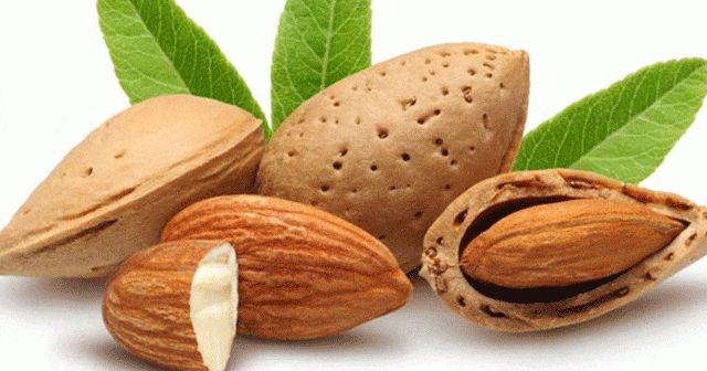Fosfor: Fosfor ve kalsiyuma kemik sağlığının devamı için çalışan ikili savaşçı denilebilir. Bu iki mineral beraber alındığında sindirim sistemimizden emilmesi daha iyi oluyor. Ancak yapılan çalışmalar; bol miktarda kafein almanın kalsiyum ve fosforun bağırsaklardan emilmesini azalttığını ortaya koyuyor. O nedenle aşırı kahve tüketiminden kaçınılmalı. Fosfor kaynakları: Koyu yeşil yapraklı taze sebzeler, baklagiller ve badem gibi kuruyemişlerde bol miktarda kalsiyum ve fosfor bulunuyor. Dengeli beslenme ile vücudumuz için gerekli günlük fosfor miktarını genellikle gıdalardan aldığımızdan ek bir takviye gerekmiyor.