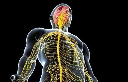 Sinir sistemi hastalıkları: Sinir-ileti sistemi hastalıklarında üşüme, hissizlik, hareket bozukluğu gibi belirtilerin altında nöropatiler, kas hastalıkları veya multiple skleroz gibi sistemik, ilerleyici hastalıklar yatabiliyor. Özellikle de ailede benzer hastalık öyküsü varsa zaman kaybetmeden ilgili hekime görünmek gerekiyor.