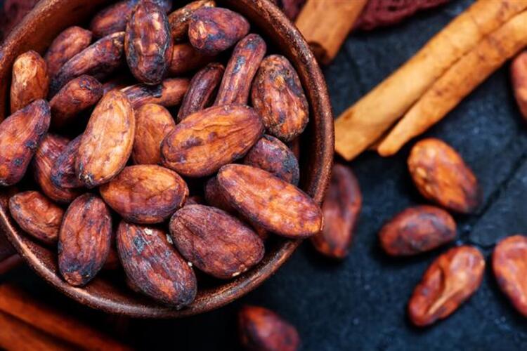 KAKAO Kakao ve çikolatanın mutluluk hormonu olarak da bilinen serotonin üretimini arttığı biliniyor. Aynı zamanda beyni ve bilişsel işlevlerini destekleyici flavonoidlerden zengin kakao, özellikle beynin öğrenme ve hafıza işlevlerine ek olarak kısa süreli belleği güçlendirmeye katkı sağlıyor. Araştırmalar, kakaodaki flavonoidlerin hafızayı geliştirmeye ve yaşla ilişkili zihinsel gerilemeyi yavaşlatmaya yardımcı olabileceğini gösteriyor. Bu özelliklerden faydalanmak için ise beyaz ve sütlü çikolataları bir kenara bırakıp en az yüzde 70 oranında kakao içeren bitter çikolataları ya da kakao tozunun kendisini tercih etmeniz gerekiyor.