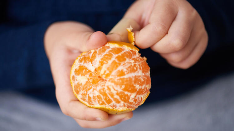 1-C vitamini deposu meyveler Güçlü bir bağışıklık sistemi ve vücudu toksinlerden arındırmak için çocukların yüksek C vitamini ihtiyacı da karşılanmalı. Bunun için çocukların beslenmesinde tüm mevsimlerde 2 -3 porsiyon meyveye yer verilmeli. Çocukların tatlı isteğini karşılamada da meyveli tatlılar, meyve ile hazırlanan dondurmalar, smoothie’lerden faydalanılabilir.