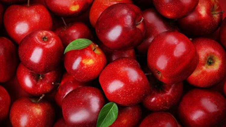 Atıştırmalık olarak bir elma yiyin Metabolizmanızı aktif tutmak ve sabahları enerji seviyenizin düşük olmasını engellemek için sağlıklı atıştırmalıklar yemelisiniz. Elma, içerdiği bileşenler sayesinde, günün bu vaktinde size enerji vermek için idealdir. Kalori miktarı düşüktür. İçerdiği lif sayesinde sizi uzun süre tok tutar ve ekstra kalori tüketmenizin önüne geçer.