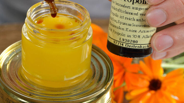 Son zamanlarda adını sıkça duyduğumuz propolis; Yunanca PRO (müdafaa) ve POLİS (şehir) kelimelerinden türetilmiştir. Propolisin içerisinde reçine, balmumu, fenolik bileşikler, mineral ve vitaminler bulunur. Mikrop önleyici, iltihap giderici ve antioksidan etkilere sahip olması dolayısıyla bağışıklık sistemini de güçlendirir. Peki, propolisi kimler kullanabilir?