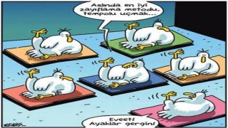 Spor Karikatürleri