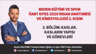 İnsan anatomisi ve kinesyolojisi 2. Kısım Beden eğitimi öabt