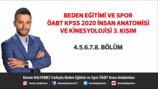 İnsan Anatomisi ve Kinesyolojisi 3. Kısım